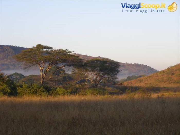L'alba nella savana