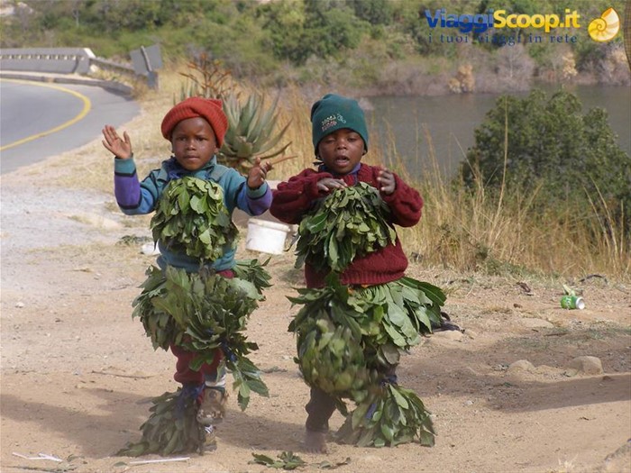 I bambini dello Swaziland
