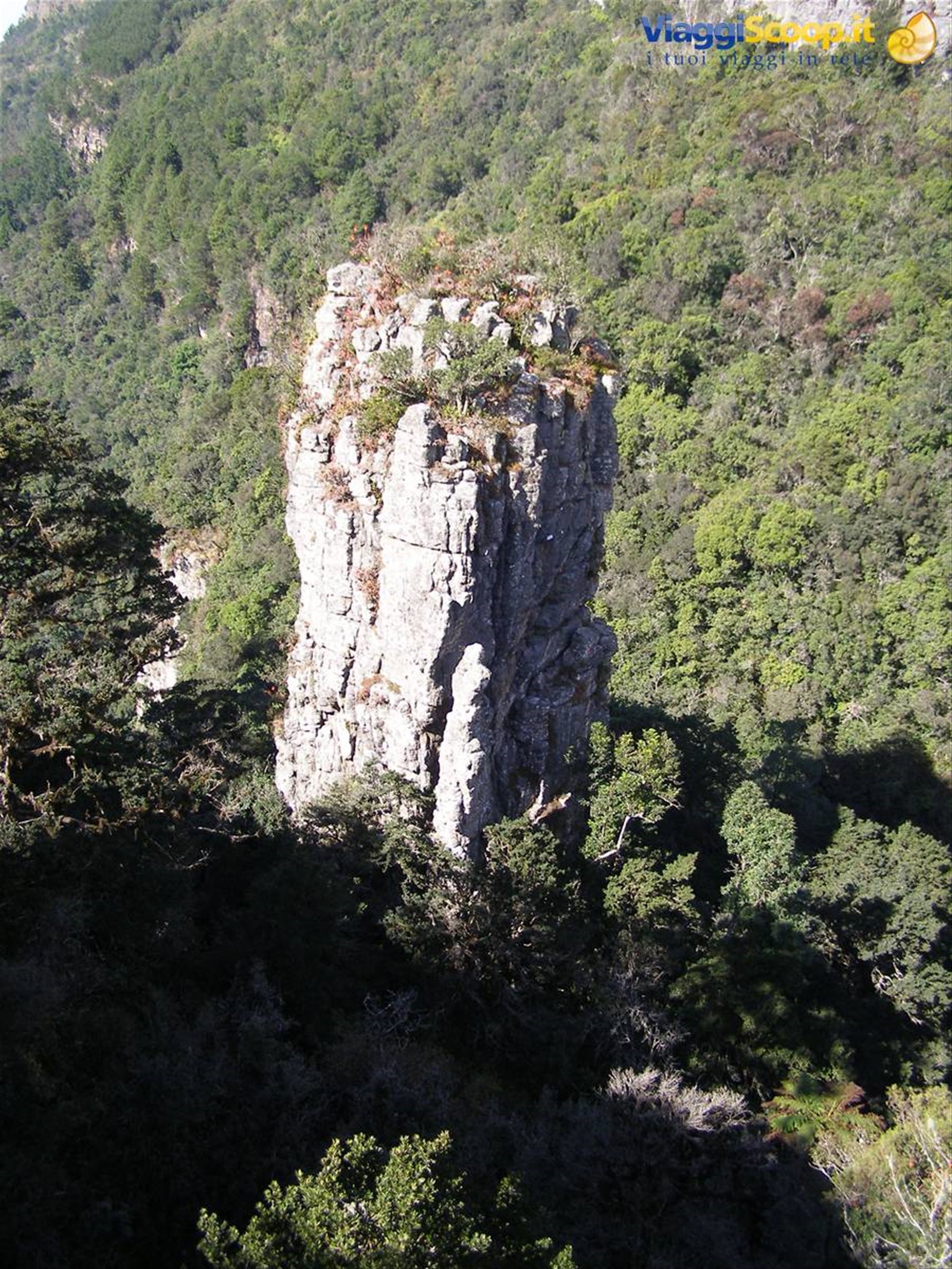 The pinnacle