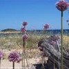 foto viaggio FRANCIA