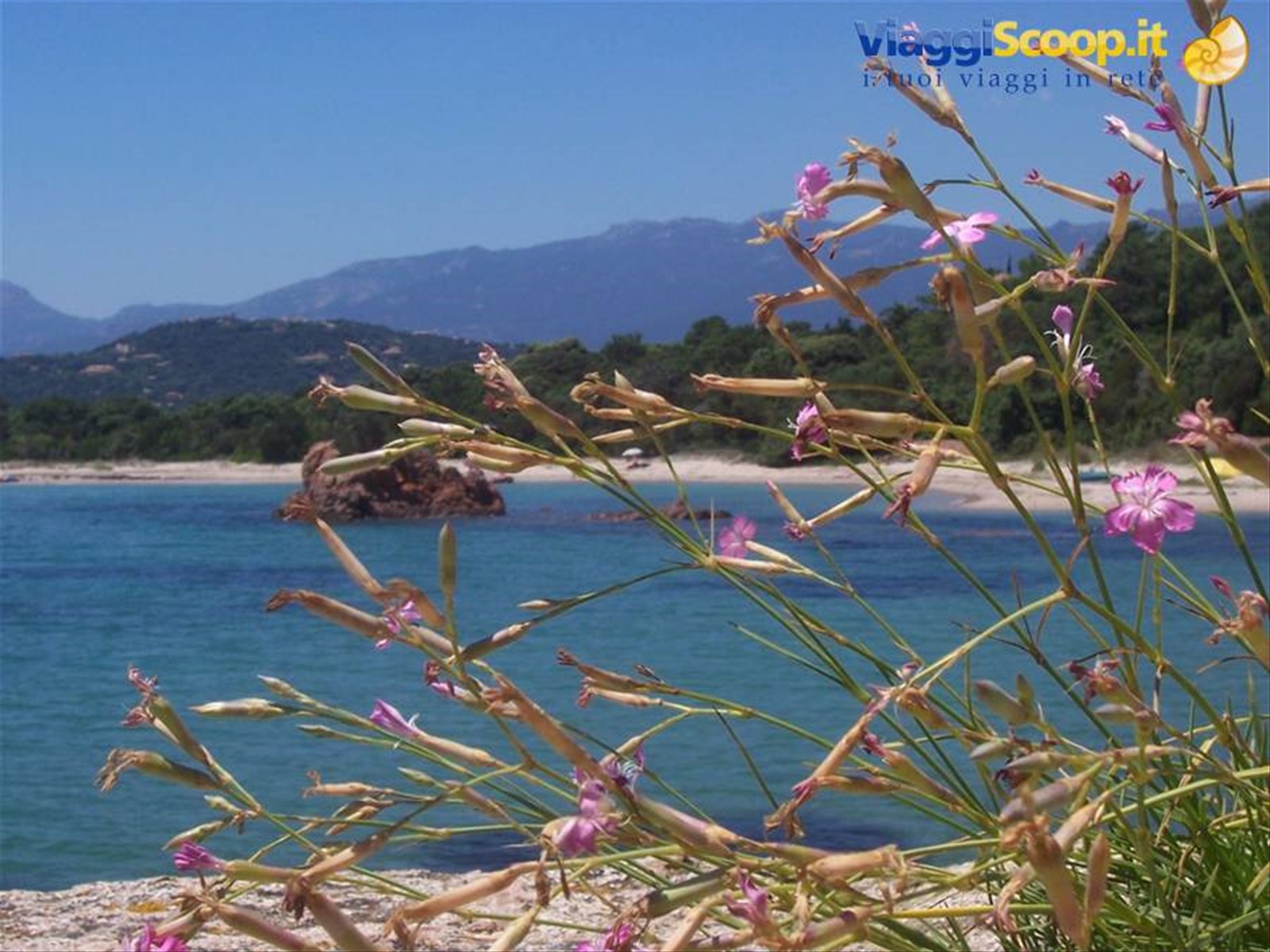Porto Vecchio - CORSICA