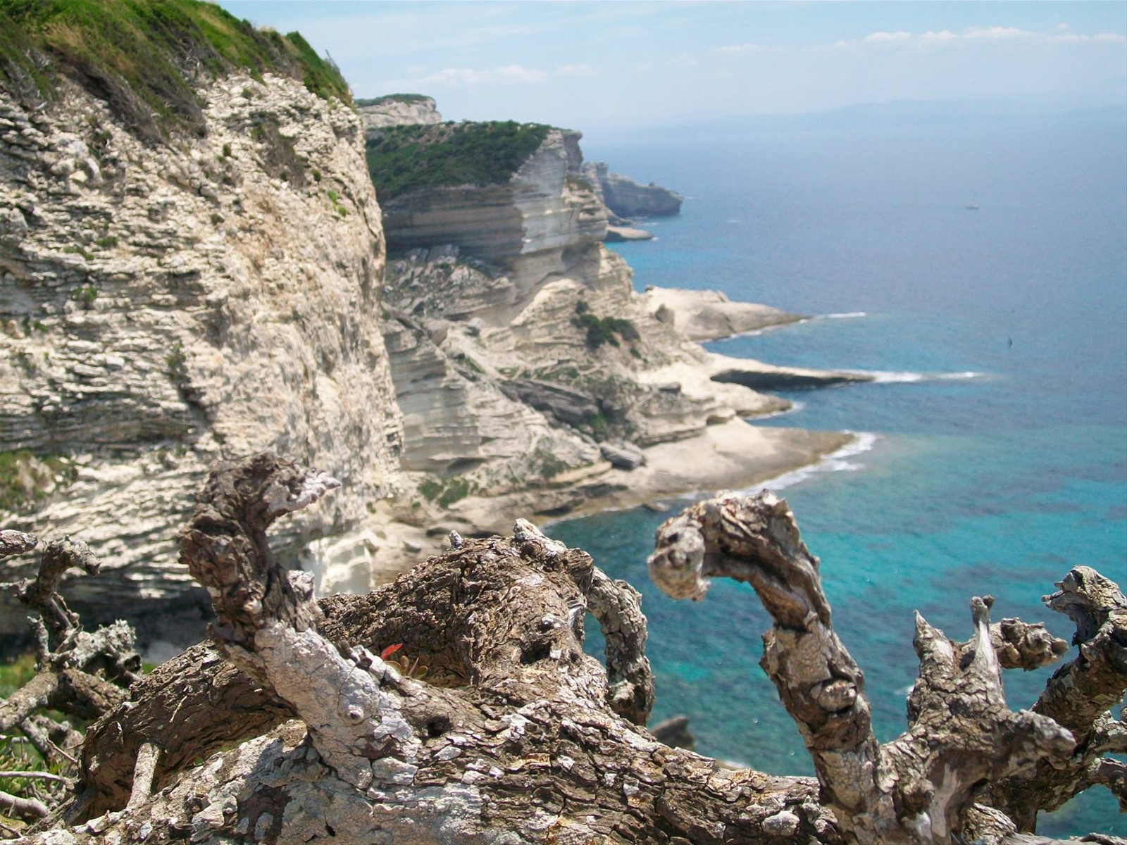 le scogliere di Bonifacio