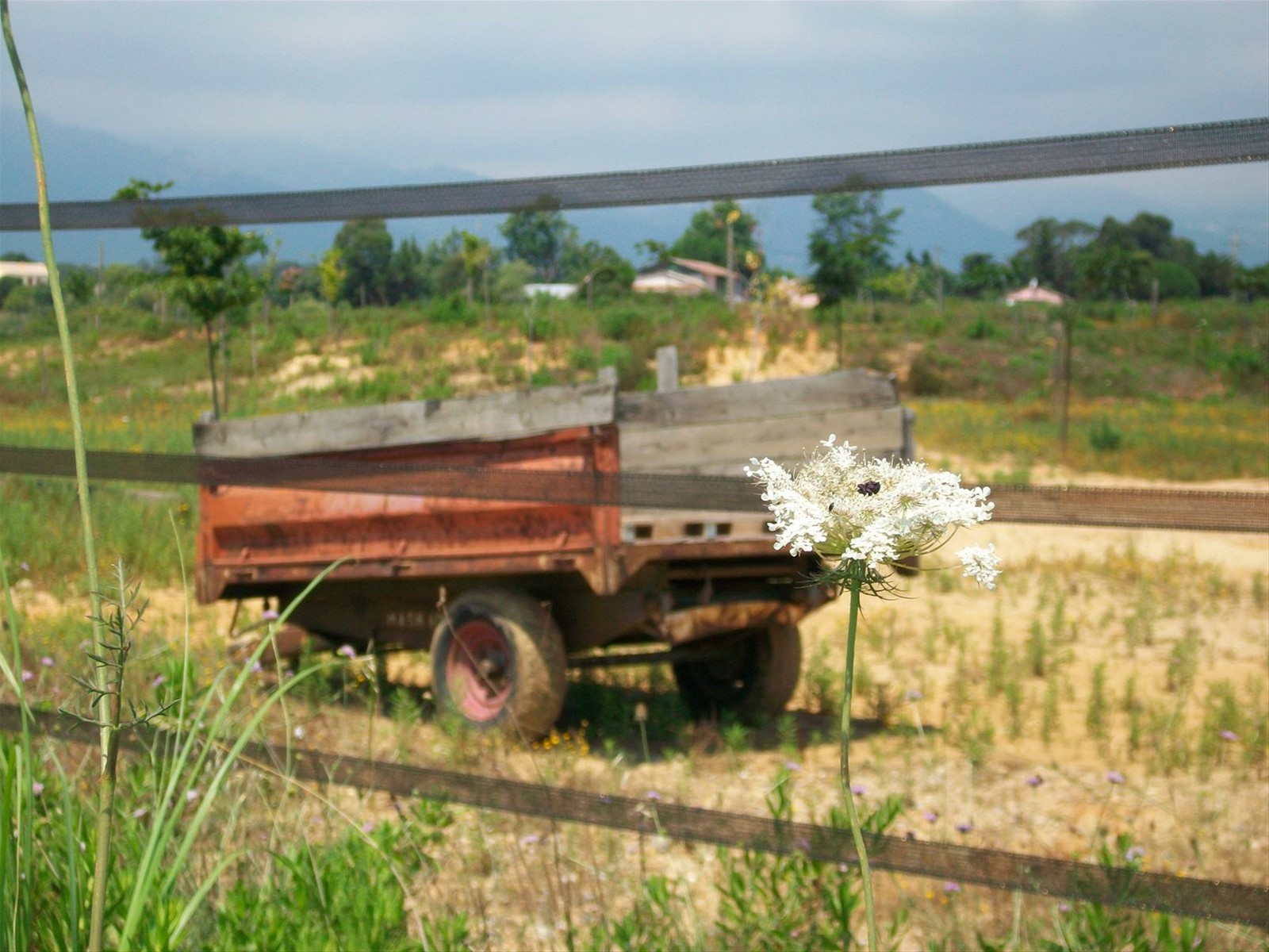 atmosfera country