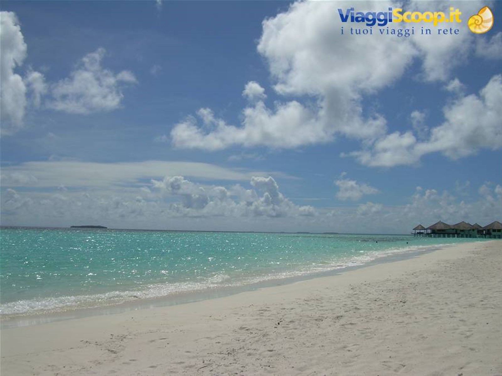 Foto di viaggio in MALDIVE