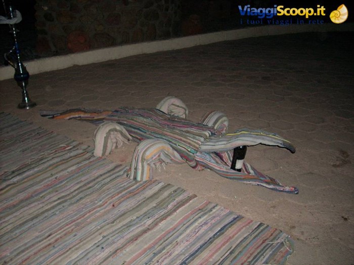 Coccodrillo