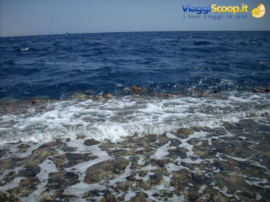 La barriera corallina
