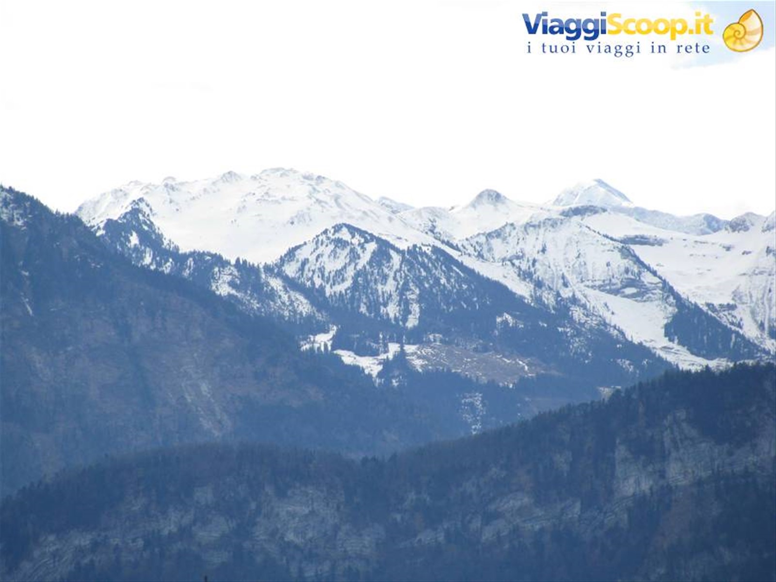Paesaggio Alpino