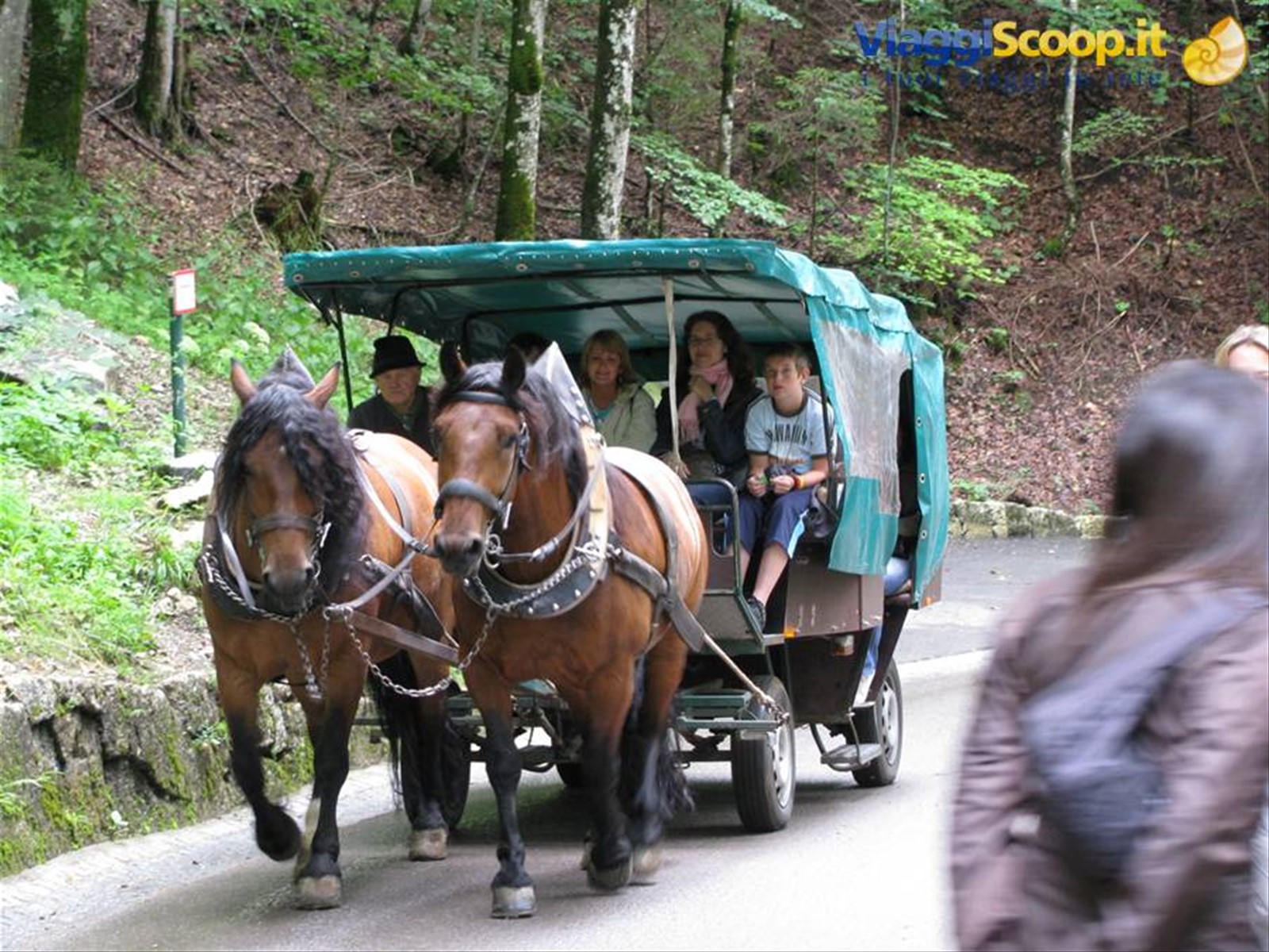 La carrozza che ti porta al castello