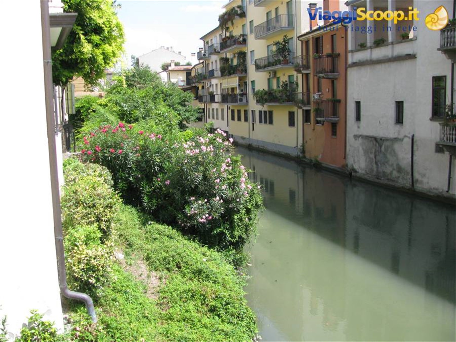 Scorcio