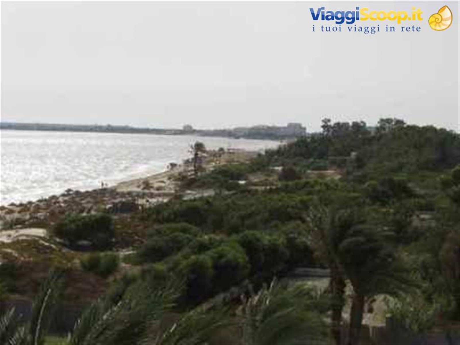 Foto di viaggio in TUNISIA