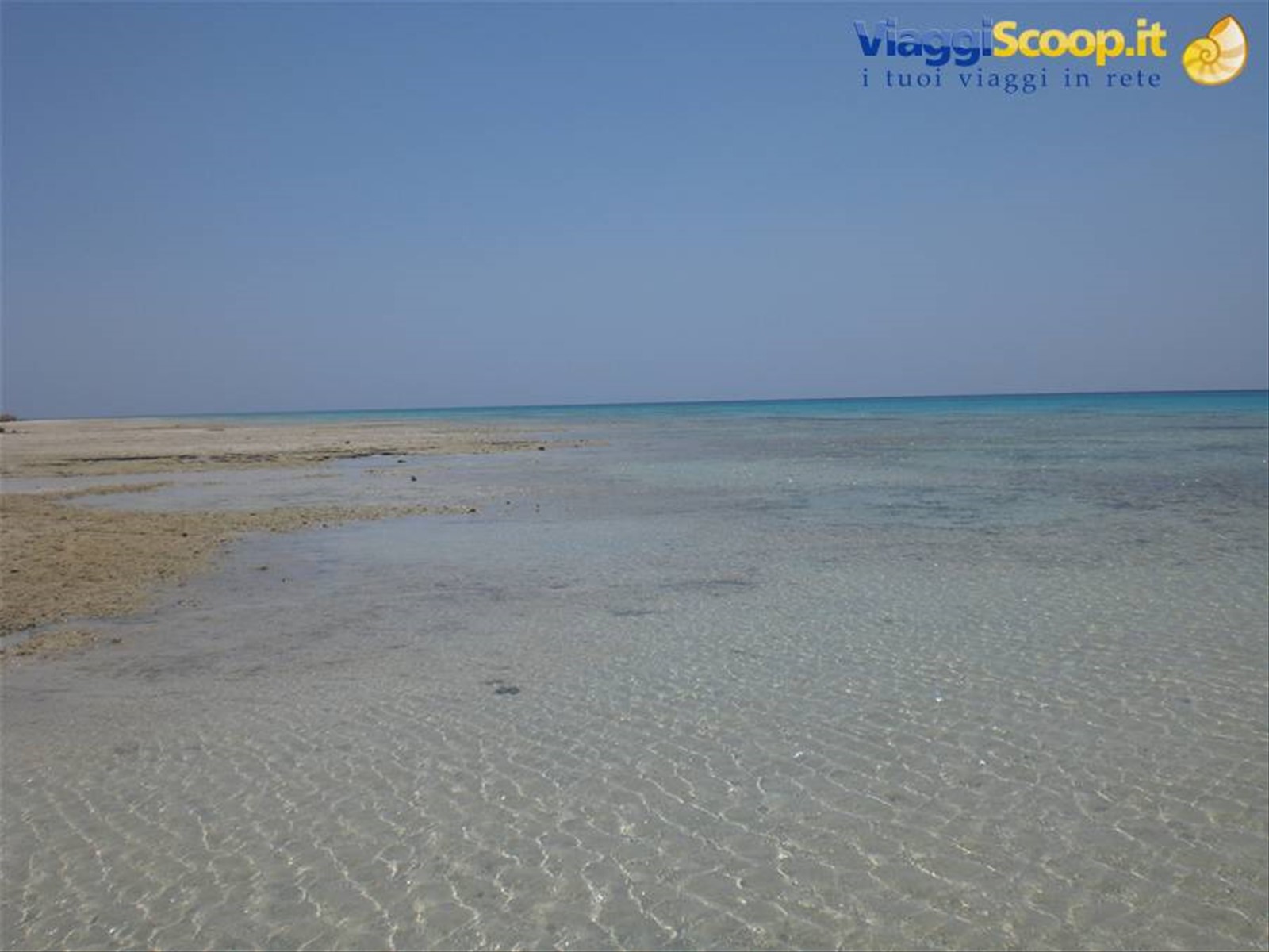 sharm el loli