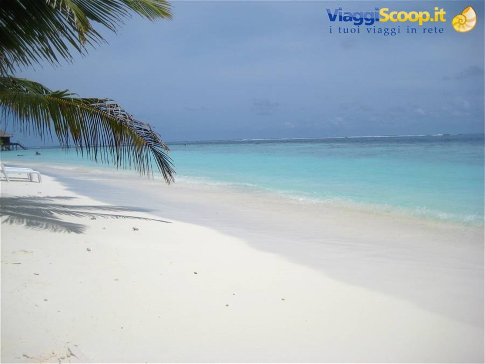 Foto di viaggio in MALDIVE