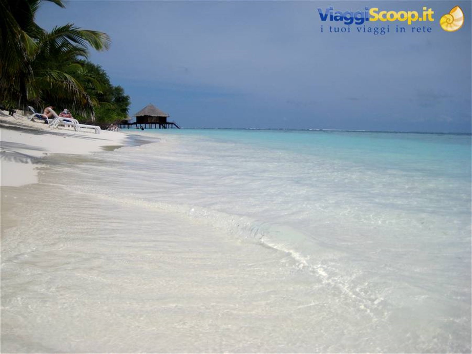 Foto di viaggio in MALDIVE