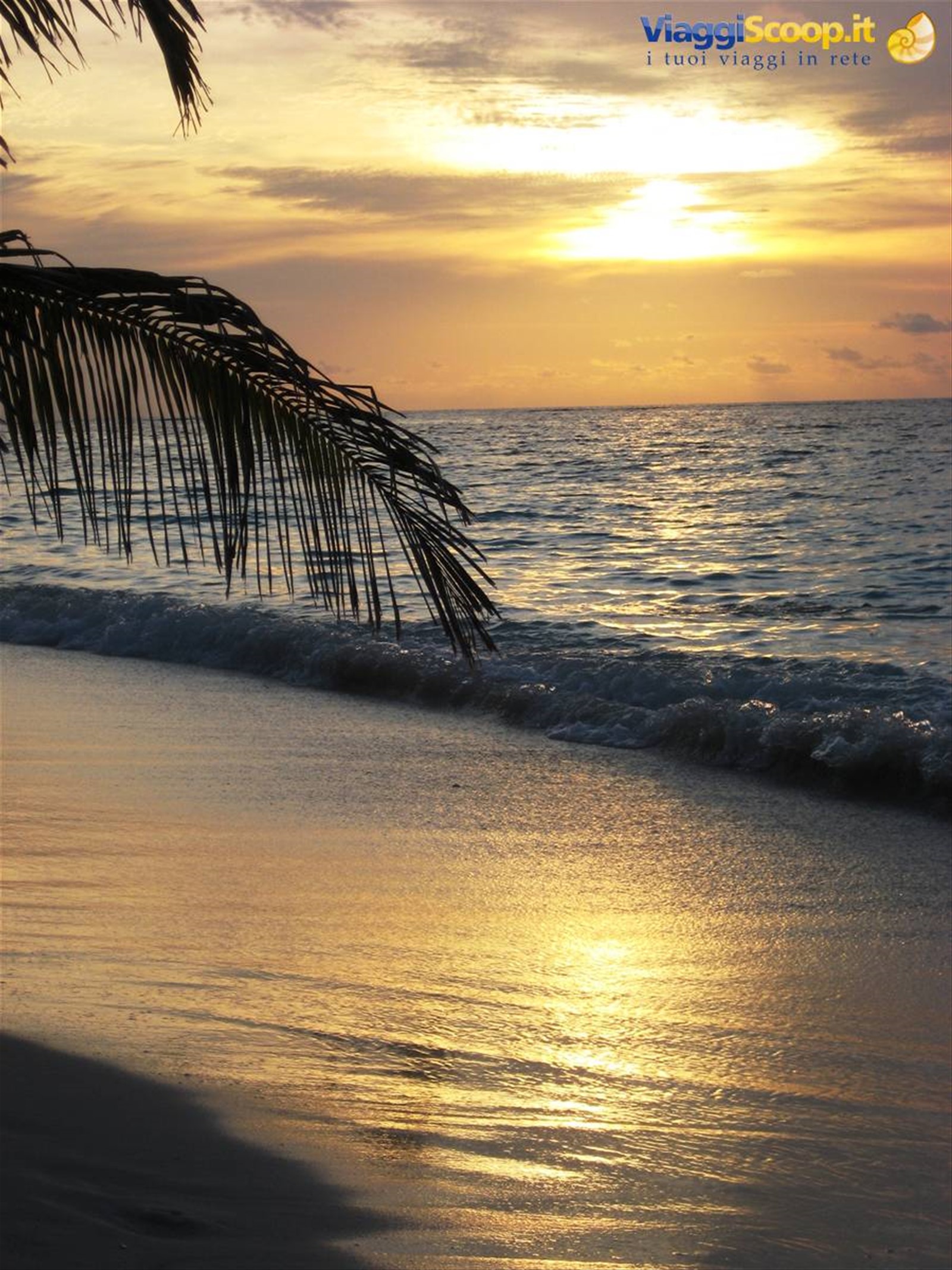 Foto di viaggio in MALDIVE
