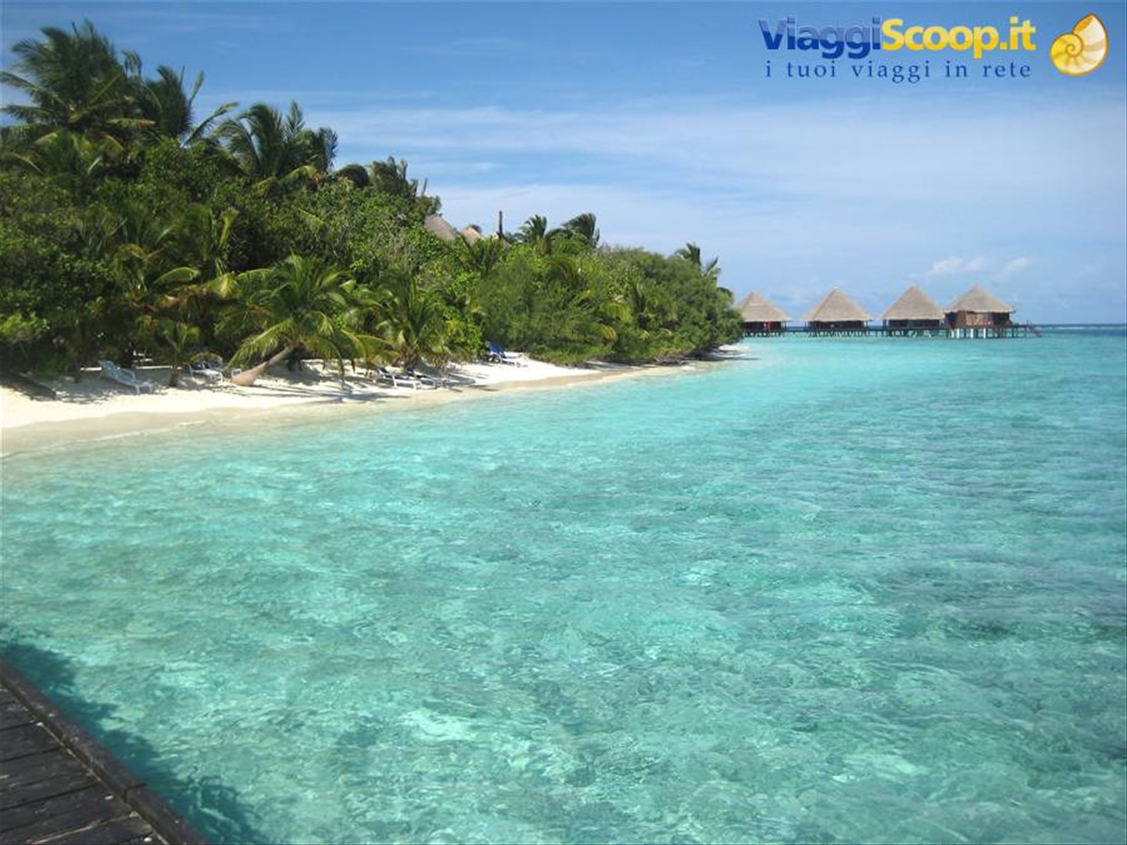 Foto di viaggio in MALDIVE