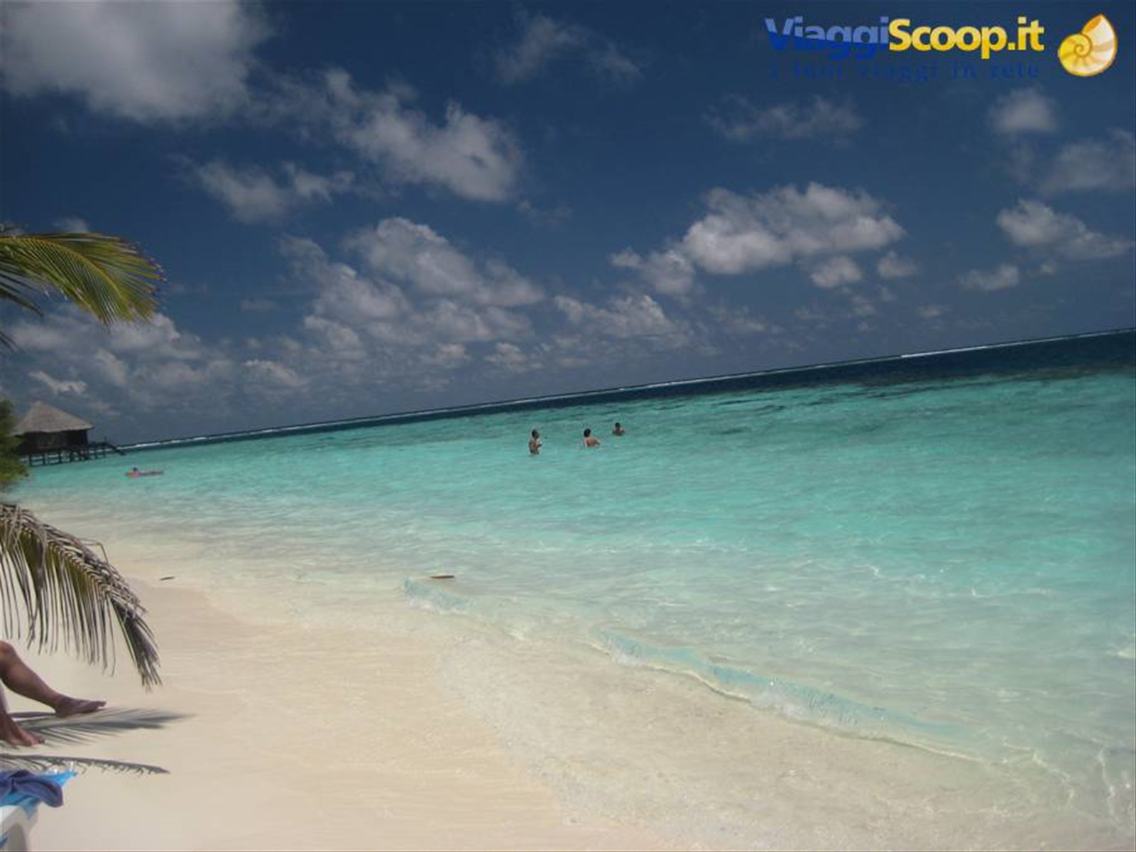 Foto di viaggio in MALDIVE