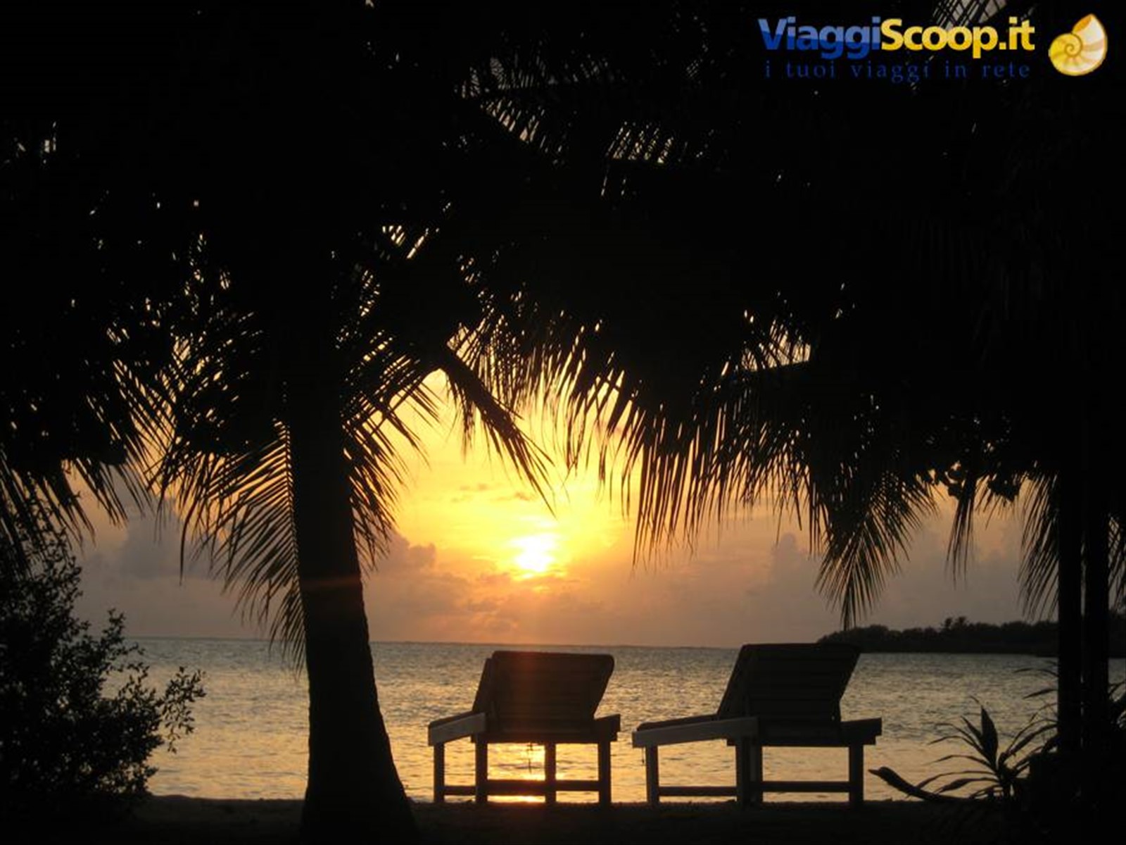 Foto di viaggio in MALDIVE
