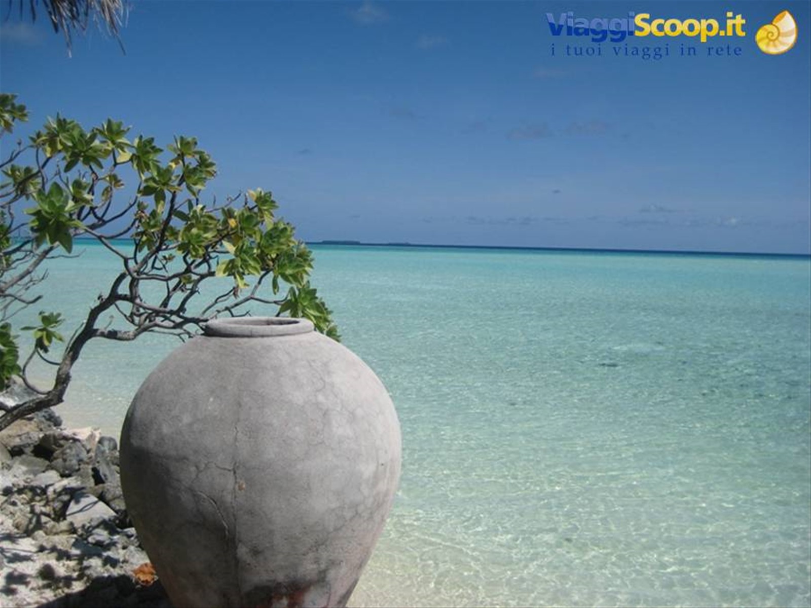 Foto di viaggio in MALDIVE
