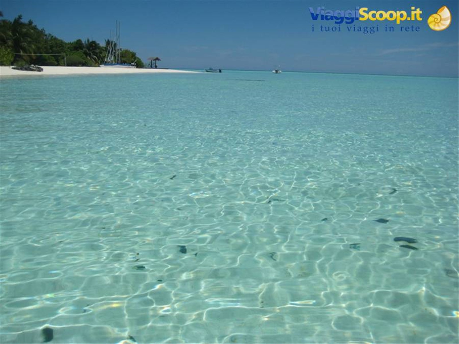 Foto di viaggio in MALDIVE