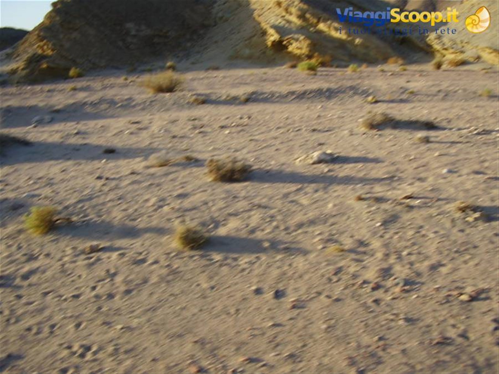 THE DESERT