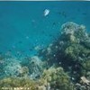 foto viaggio ERITREA