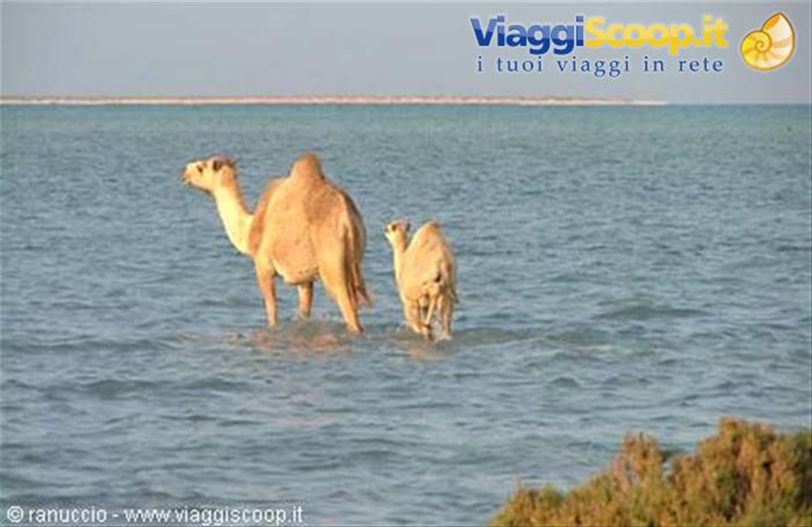 Foto di viaggio in ERITREA