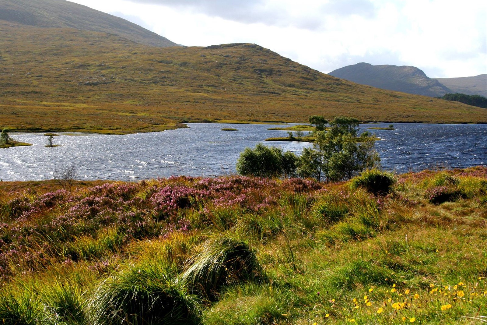 Highlands