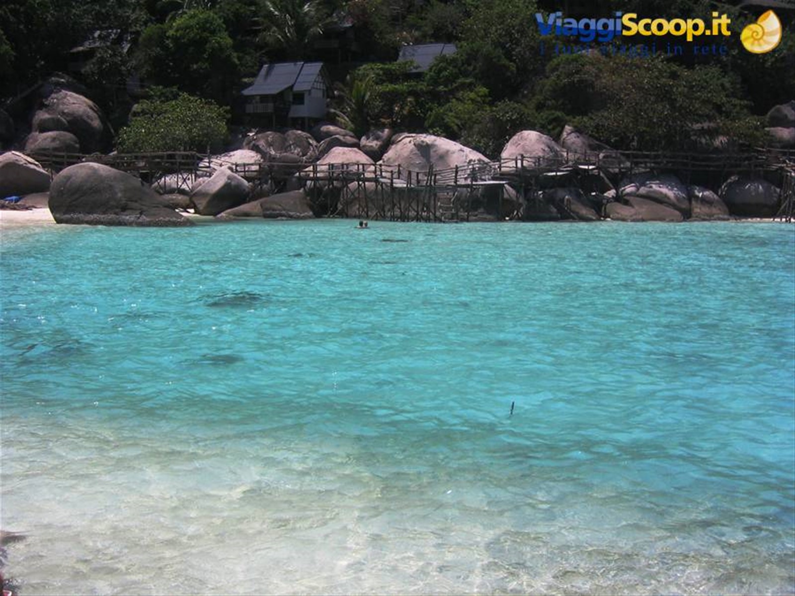 Koh Tao - Acqua bicolore