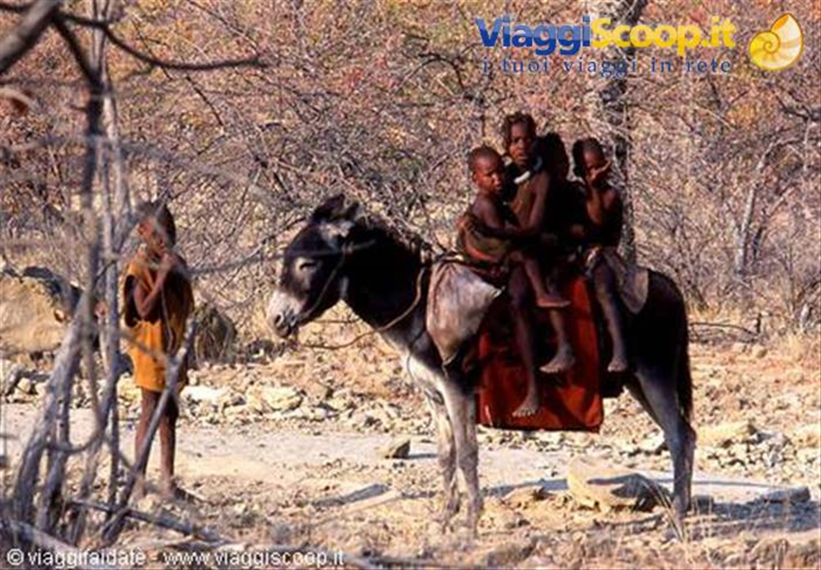 Foto di viaggio in NAMIBIA