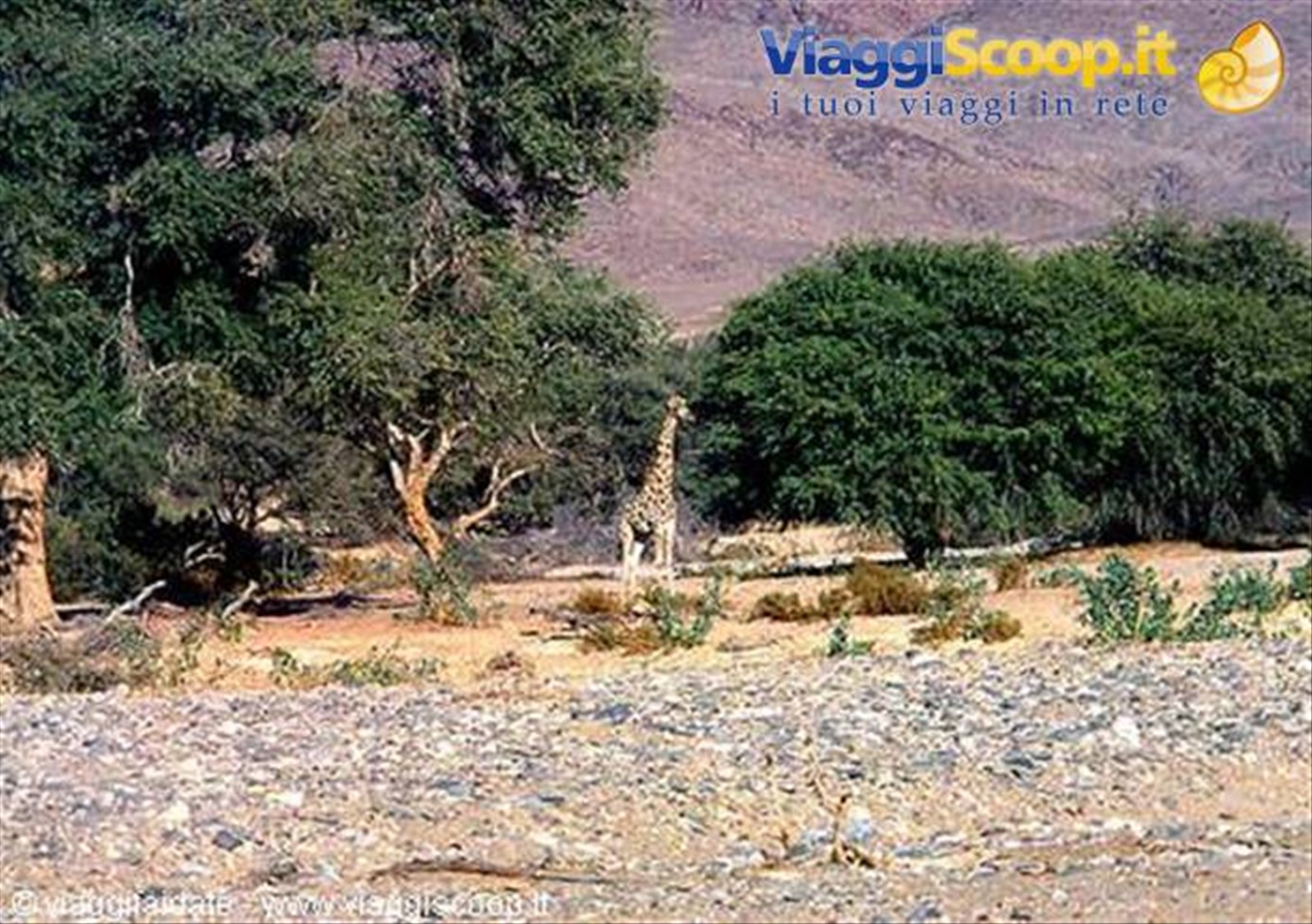 Foto di viaggio in NAMIBIA