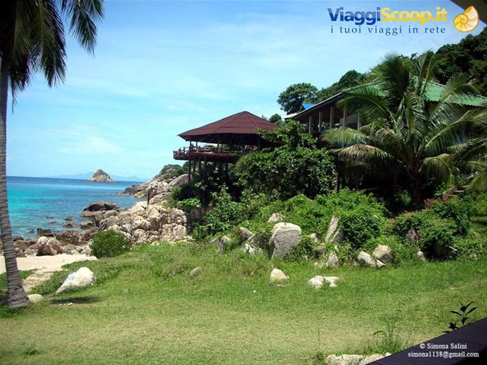 koh tao 