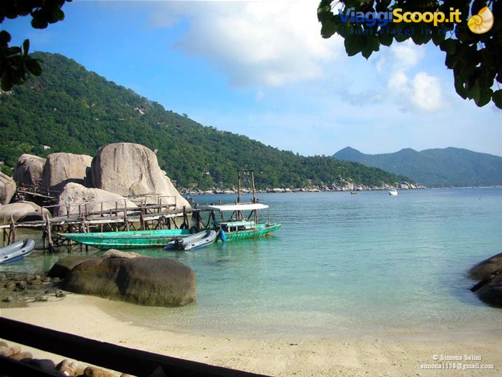 scorcio koh tao