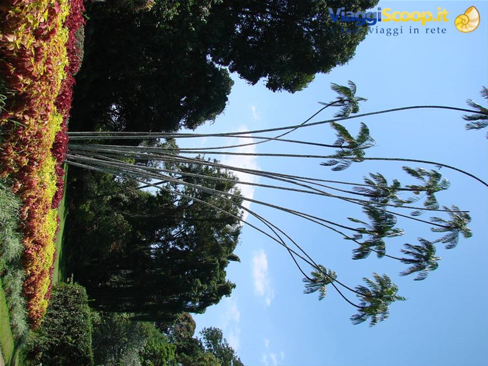 Foto di viaggio in SRI LANKA