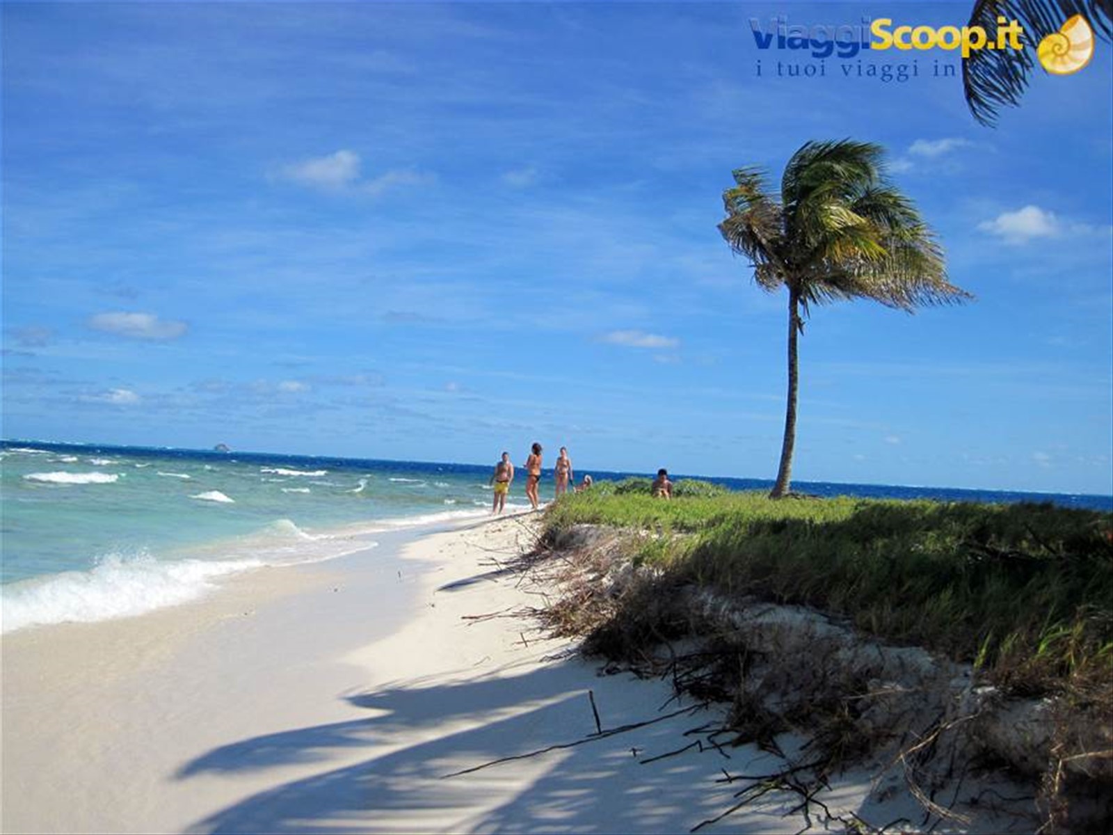 SAINT VINCENT AND THE GRENADINES