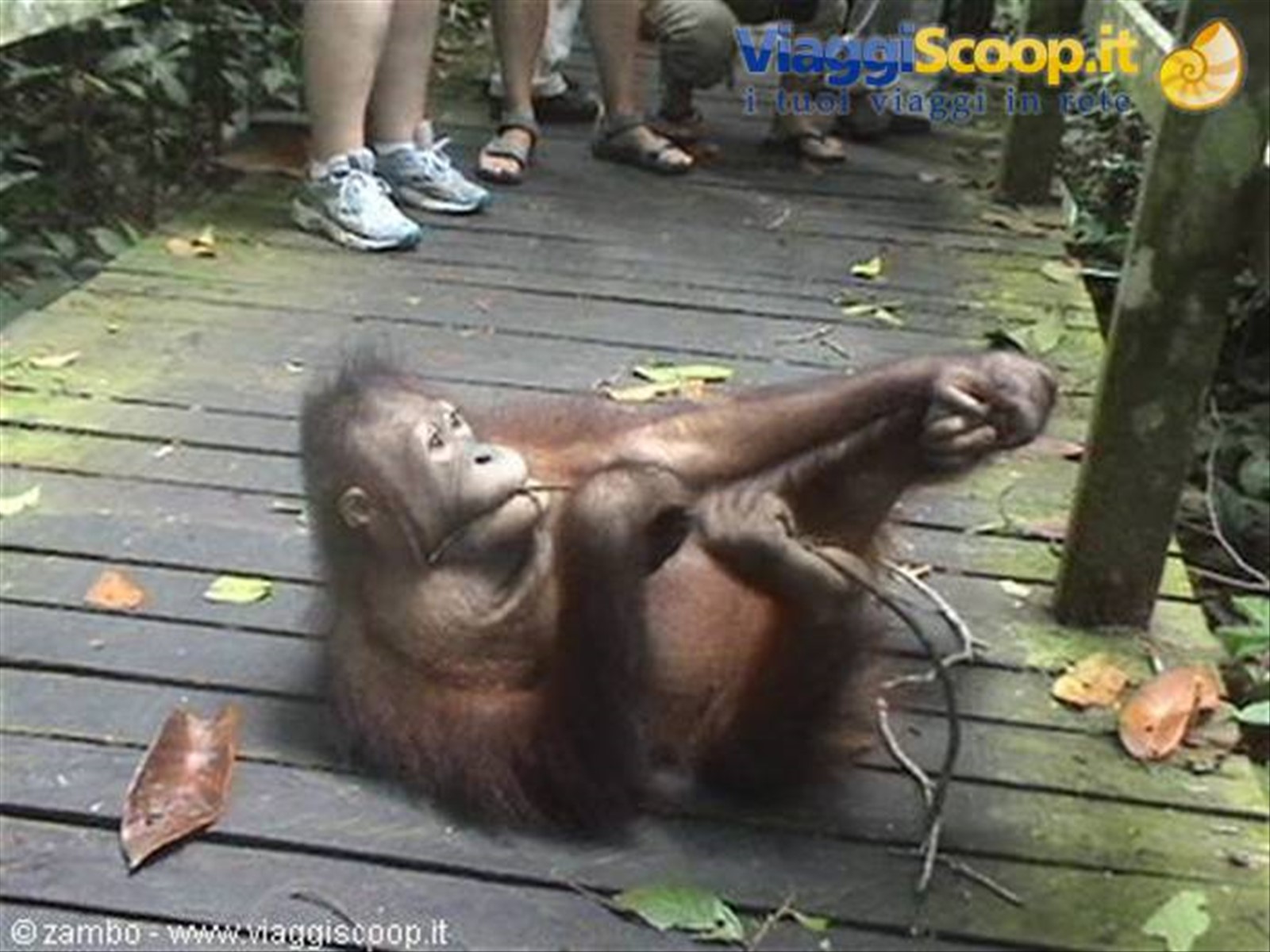 Foto di viaggio in MALESIA