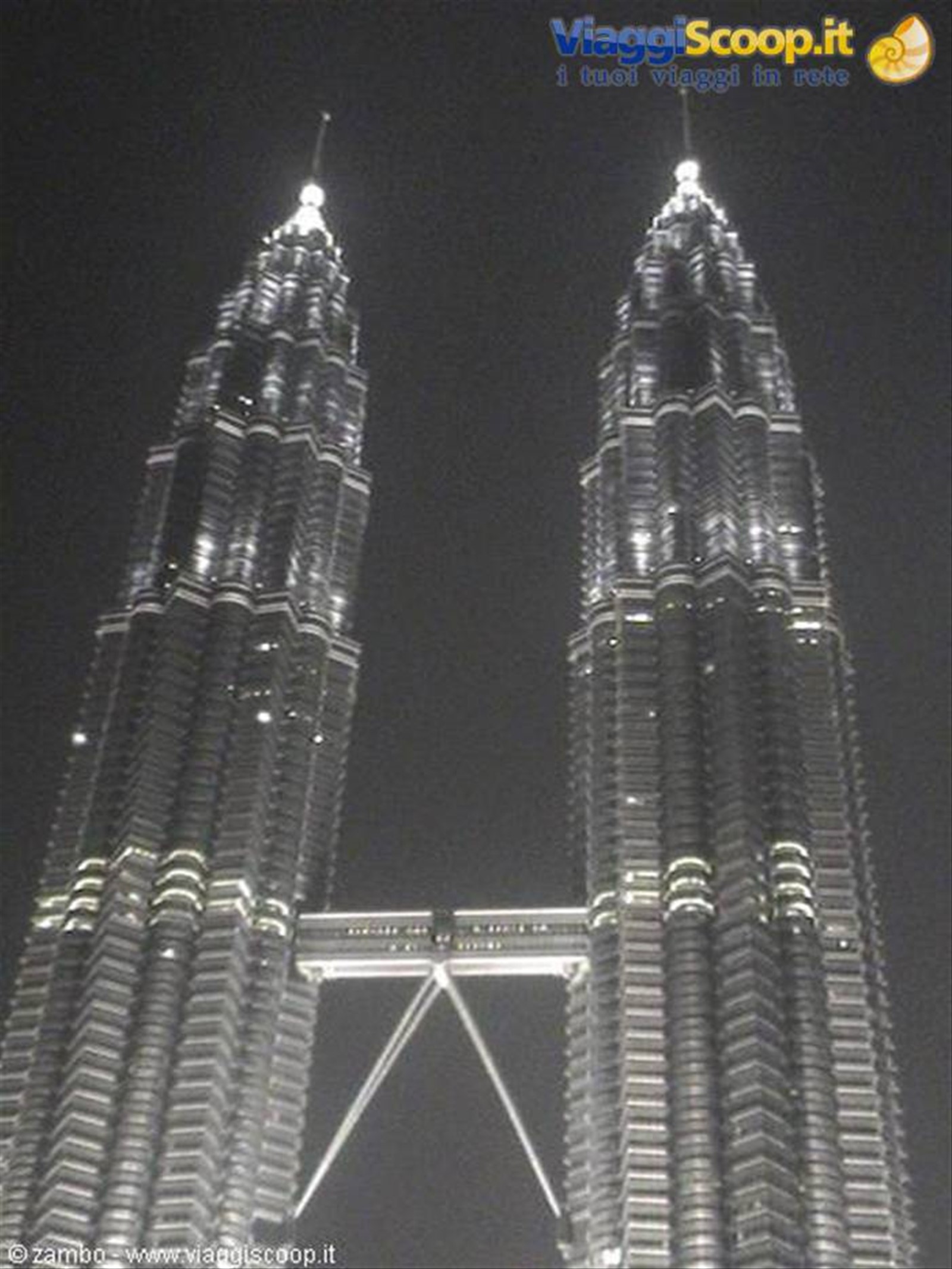 Petronas by Night
