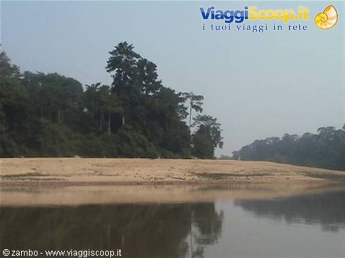 Verso il Taman Negara