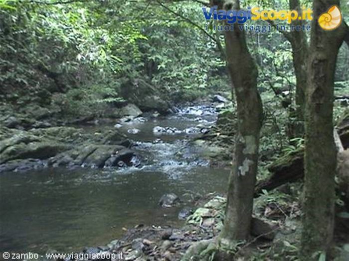 Verso le cascate