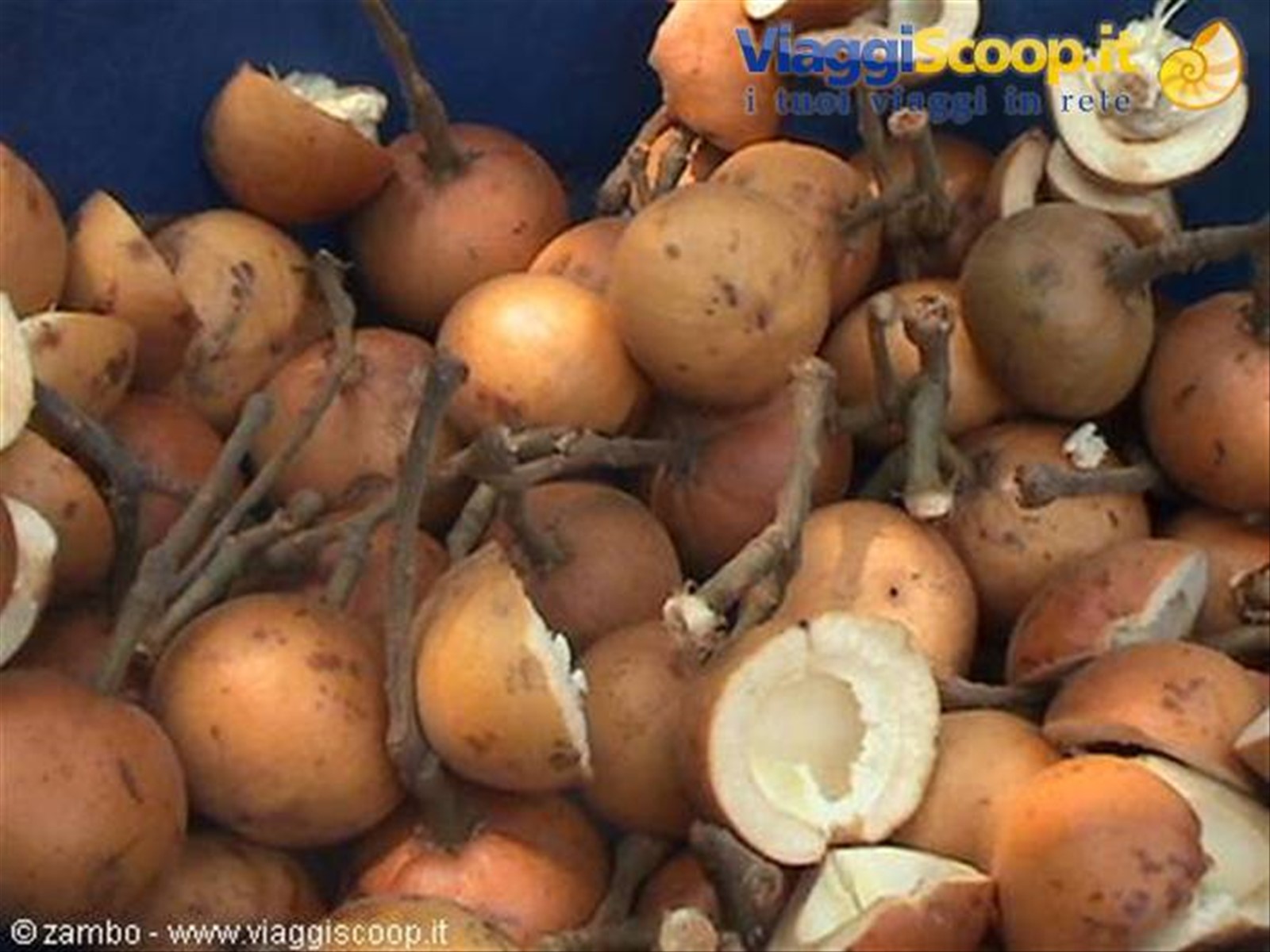 Frutta locale