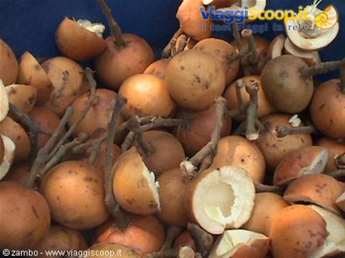 Frutta locale