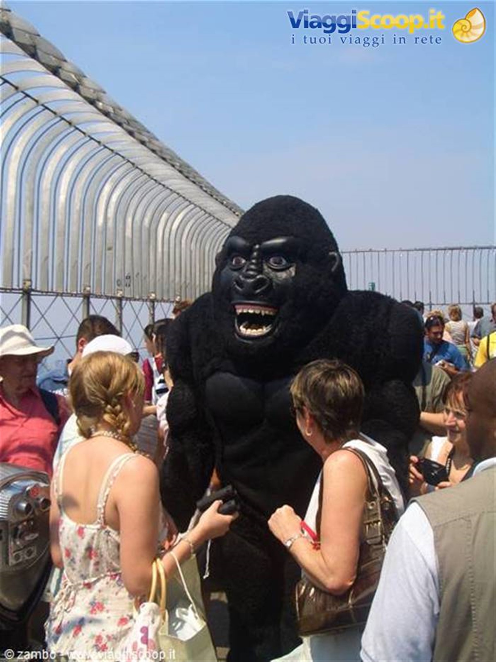 King Kong