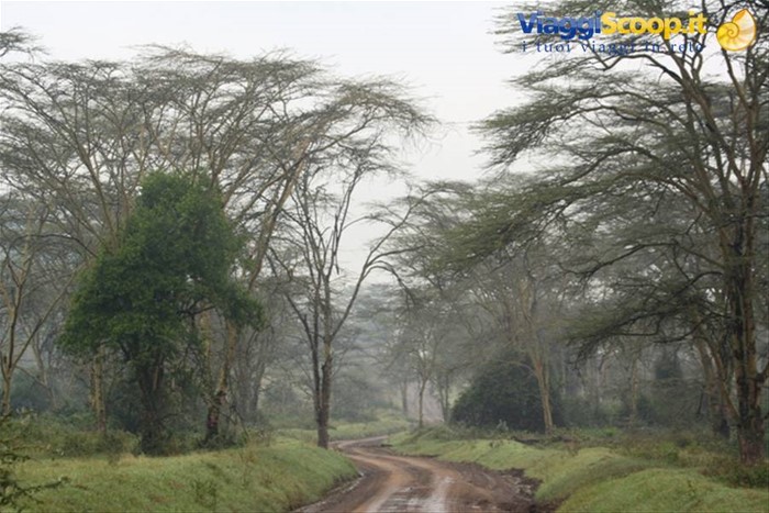 Lake Nakuru