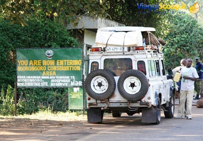 Eccoci allo Ngorongoro