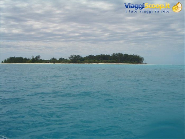Diving: Mnemba Island