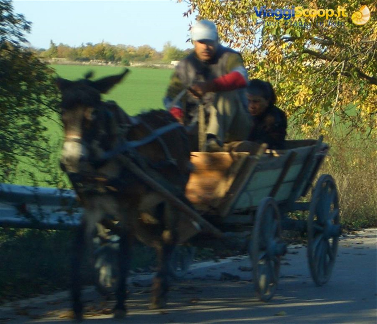 Foto di viaggio in BULGARIA