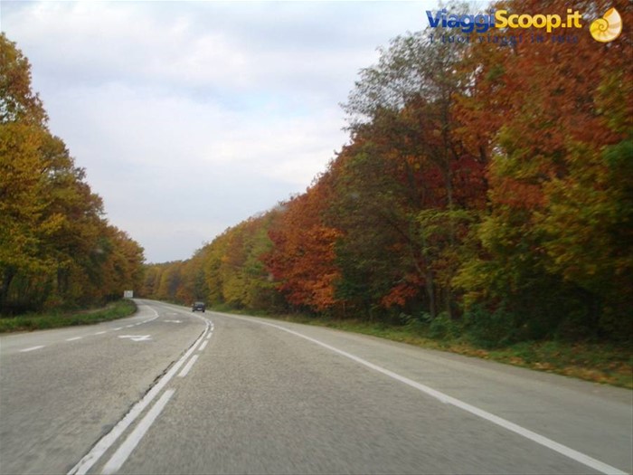I colori dell'autunno
