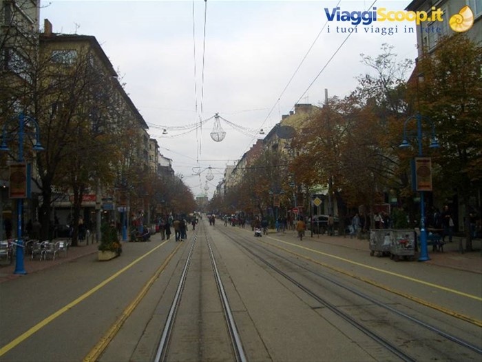 Vitosha Bul.