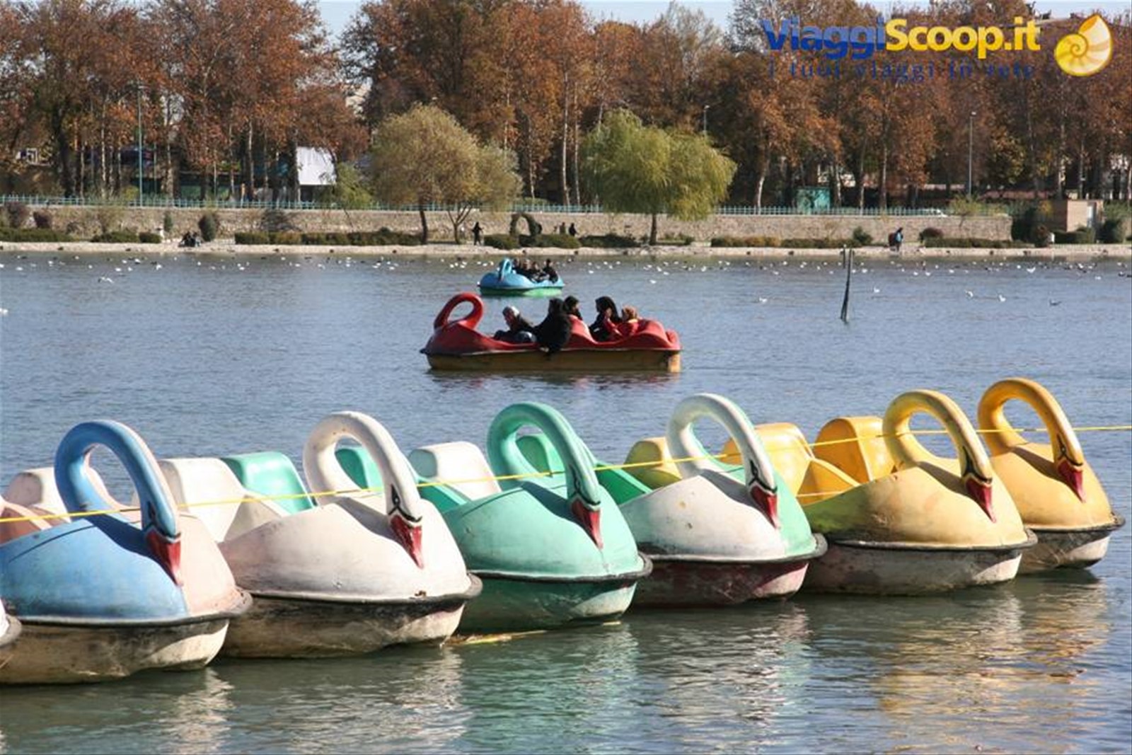 Gita sul fiume...