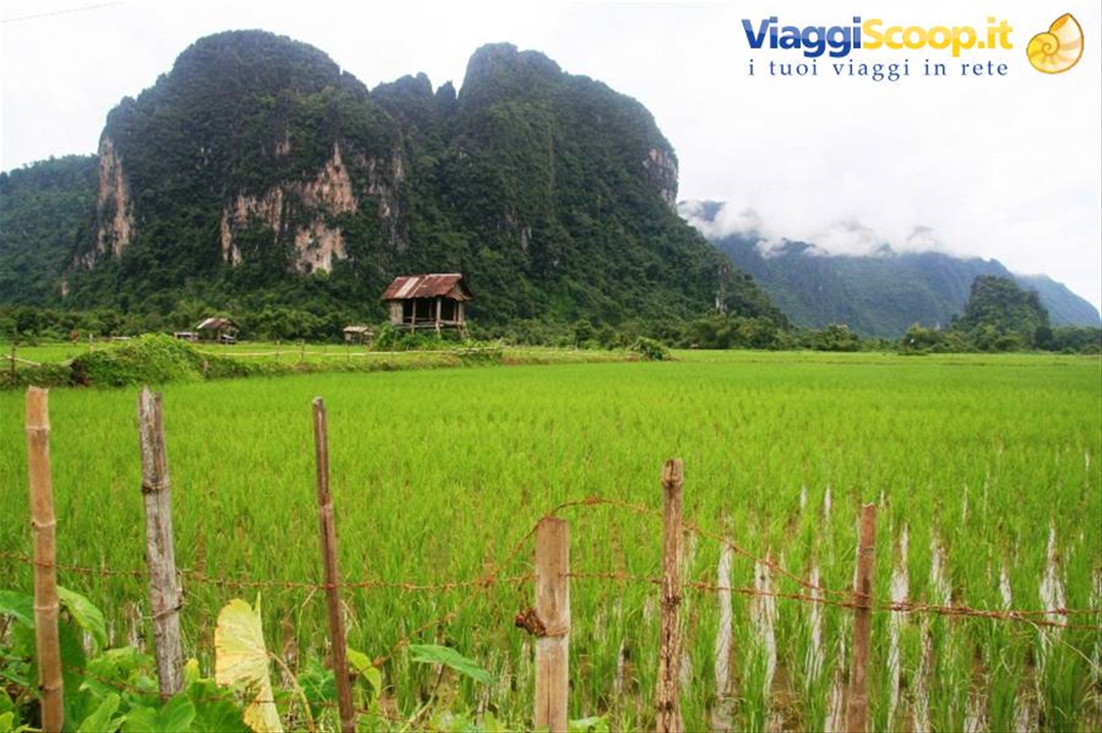 Vang Vieng