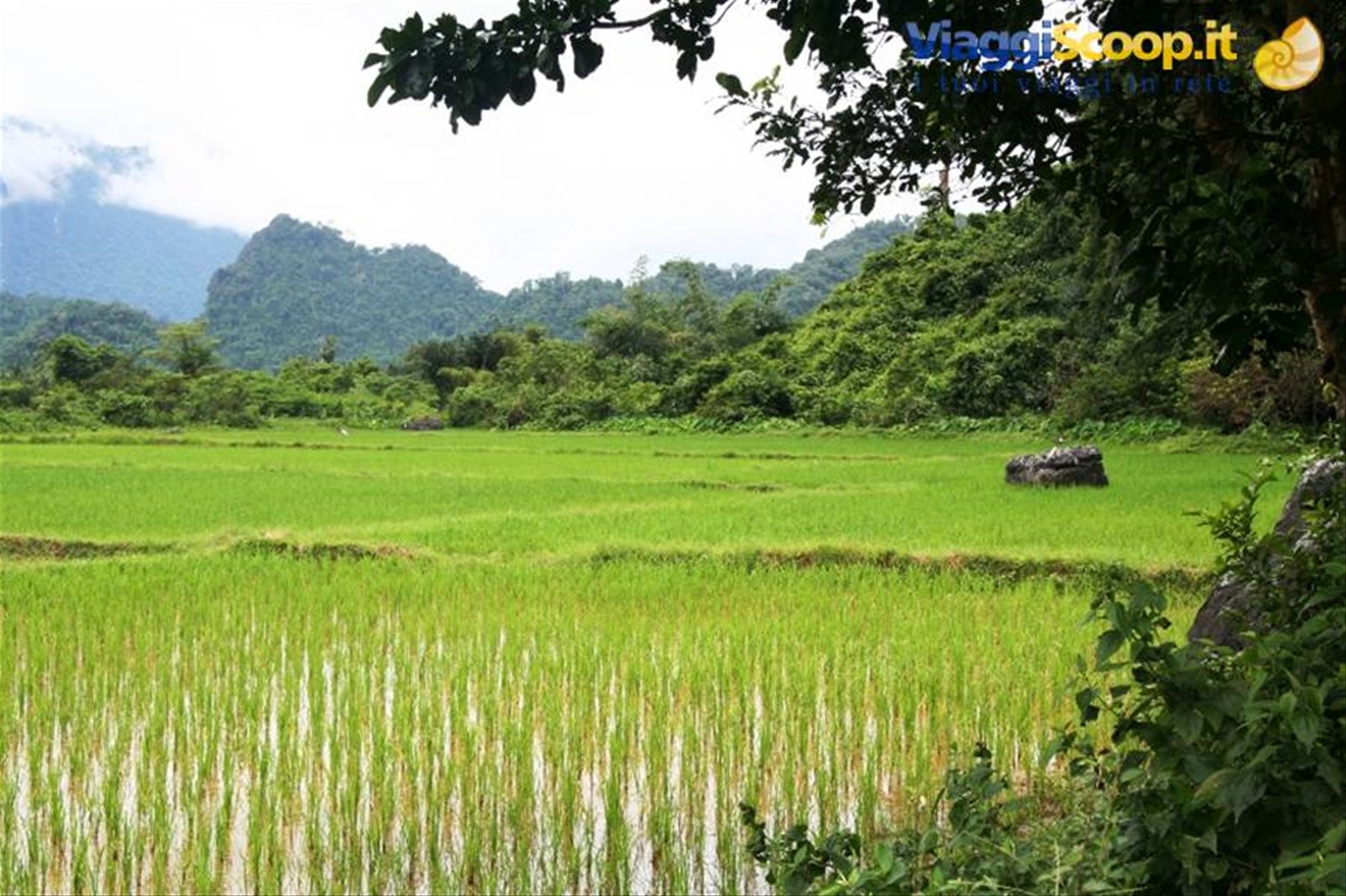 Vang Vieng